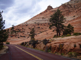 Zion National Park - Utah